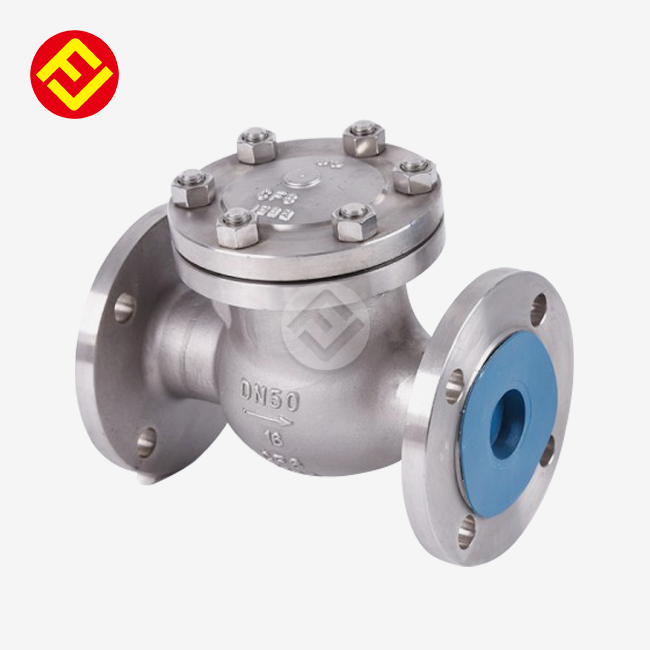 Cast Steel Steam Check Valve